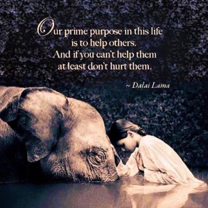 International Day Of #Peace - A Recipe for #Humanity